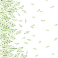 Zartes Blattmotiv „Sheer“ mit hellgrünen Linien auf weissem Grund für natürliche Lamellenvorhänge