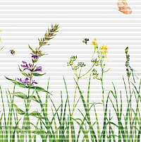 Digitale Nahaufnahme eines Plissees mit floraler Wiesenillustration in Aquarelloptik, mit Gräsern, Blumen, Bienen, Libelle und Schmetterling.