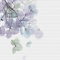 Wabenplissee mit bunten, stilisierten Blüten links oben auf gestreiftem Hintergrund