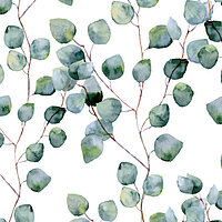 Aquarell-Motiv „Eucalyptus“ mit zarten, grün-blauen Blättern auf weissem Hintergrund für Lamellenvorhänge